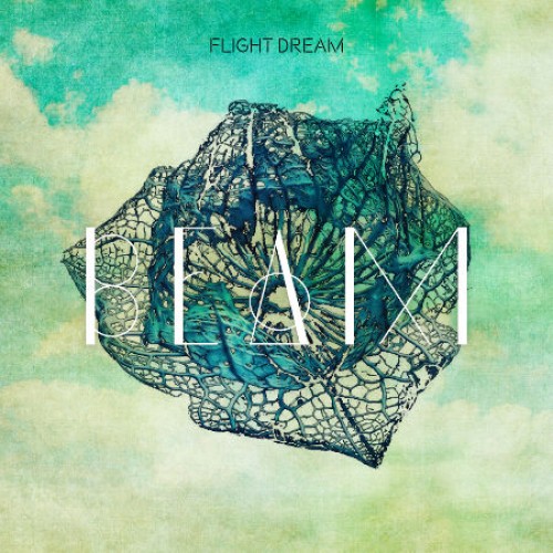 Flight dream
