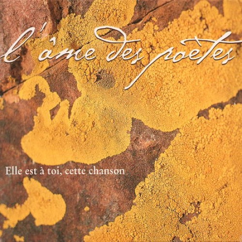 Elle est à toi, cette chanson