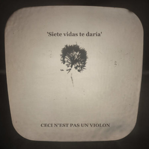 Siete vidas te daria