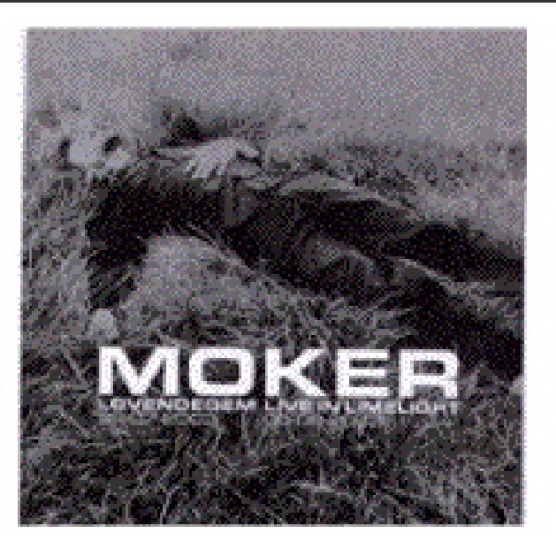 Lovendegem - Live in Limelight