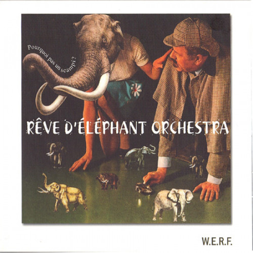 Pourquoi pas un scampi ?