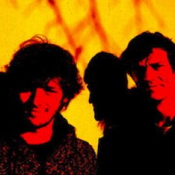 Notebook : Dries Laheye / Nicolas Thys