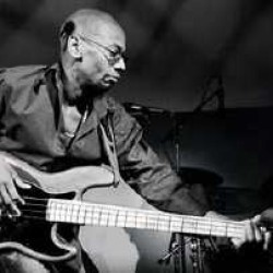 Washington Trio Tree