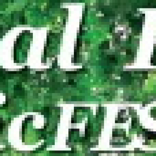 Royal Park Music Festival
