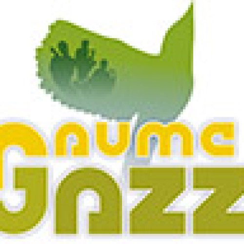 Gaume Jazz Festival