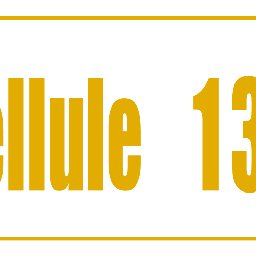 Cellule 133a